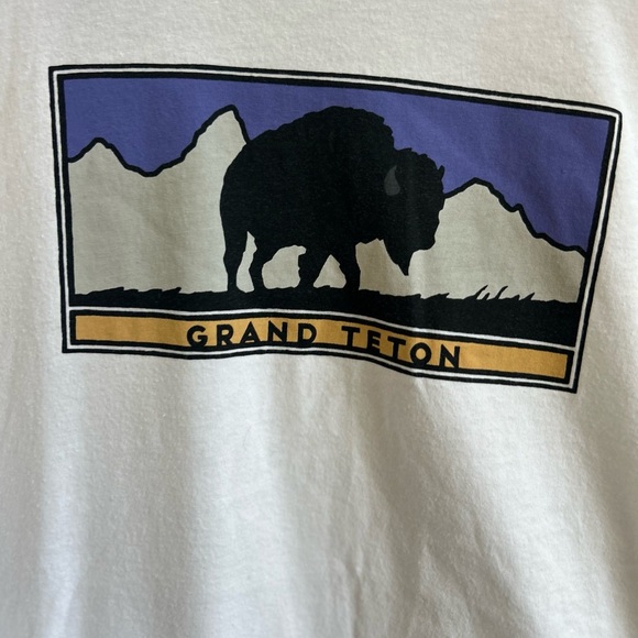 The northface women’s graphic tee size 2x. Outdoor crunchy granola Gorpcore - Picture 4 of 5